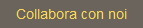 Collabora con noi
