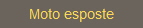 Moto esposte