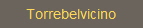 Torrebelvicino