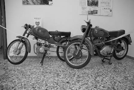 DSC_9956